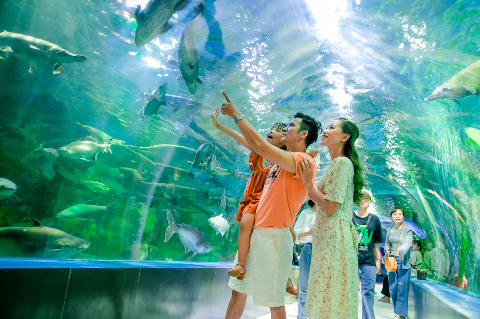Thủy cung ở Thiên Đường Bảo Sơn